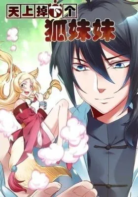 A Fox Girl Fell From The Sky